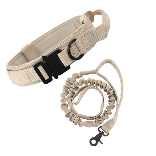 khaki Hands-Free Dog Leash with Adjustable Waist Belt - Shock Absorbing Bungee Lead
