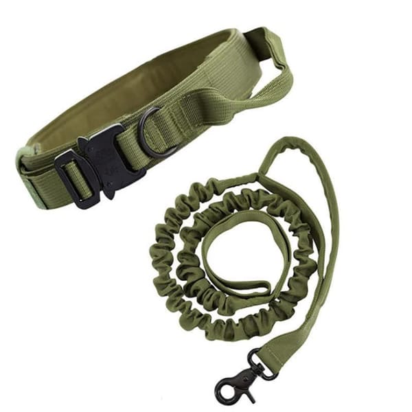 Green Hands-Free Dog Leash with Adjustable Waist Belt - Shock Absorbing Bungee Lead