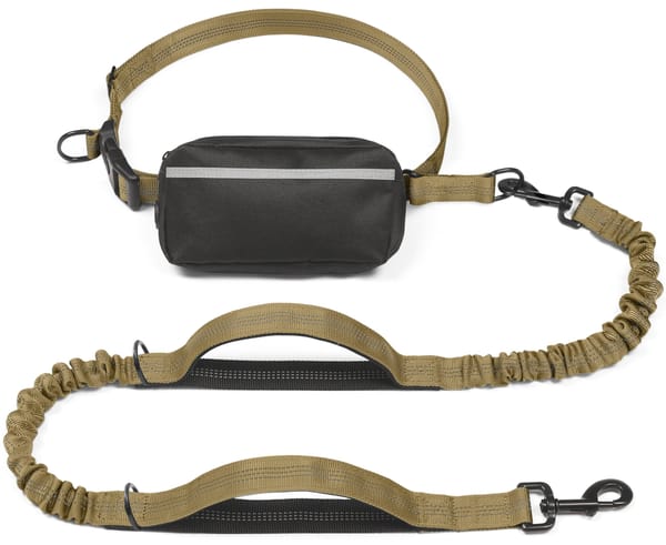 Hands-Free Dog Leash with Waist Belt and Storage Pouch, Shock-Absorbing Bungee Leash for Running, Walking, and Outdoor Adventures