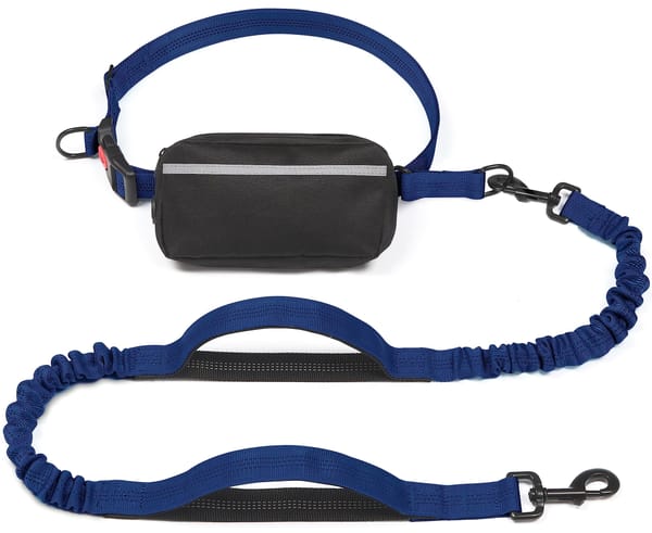 Hands-Free Dog Leash with Waist Belt and Storage Pouch, Shock-Absorbing Bungee Leash for Running, Walking, and Outdoor Adventures