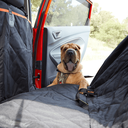 Dog car seat cover with mesh window