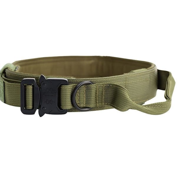 Green dog collar  tactical heavy duty   with a black buckle 