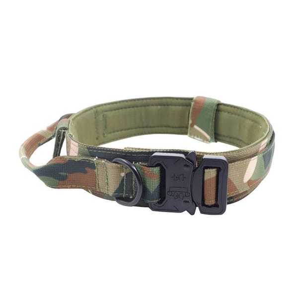 Camouflage dog collar with a black buckle 