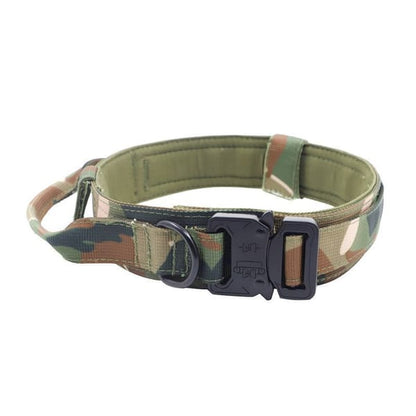 Camouflage dog collar with a black buckle 