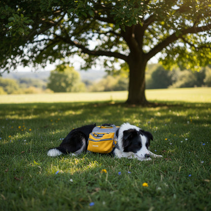 Yellow Saddle Bag Dog Backpack - Adjustable Harness Pack for Hiking, Camping & Travel with Medium to Large Dogs