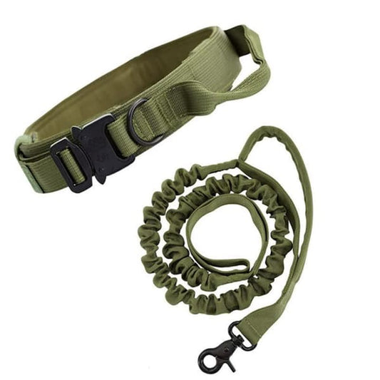 Green Hands-Free Dog Leash with Adjustable Waist Belt - Shock Absorbing Bungee Lead