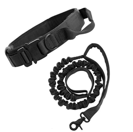 Black Hands-Free Dog Leash with Adjustable Waist Belt - Shock Absorbing Bungee Lead